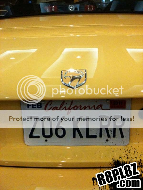 z06-killer-funny-license-plate.jpg