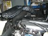 snake head 004.jpg