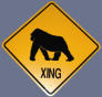 monkeycrossing.jpg