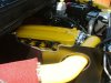 DSCF0954.JPG