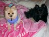 all pics 143.jpg
