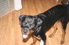 Picture 021.jpg