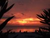 clearwatersunset.jpg