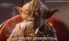 yoda.jpg