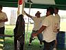 472325900405_0_SM[1].jpg
