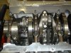 DSC01173.jpg