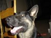 DSC02493.JPG