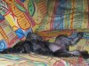 kyle's pics 014.JPG