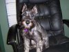 kyle's pics 096.JPG