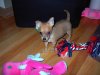 DSC00005.JPG