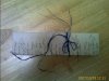 IMAGE_00004.jpg