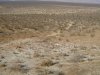 mojave 014v.JPG