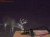 Deer Feeder.jpg