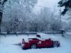 white...bored...ooo what is that red truck!.jpg