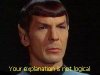 spock2thumb.jpg