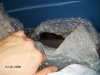 kyle's pics 007.JPG