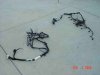 Dsc02543-b.jpg