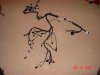 Dsc02537-b.jpg