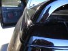 wing%20005.jpg