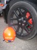 Copy of IMG_1389.JPG
