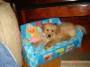 DSC00541.jpg