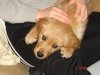 DSC00543.jpg