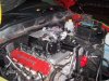 truck 009.jpg