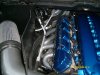 Motor and headers 003.JPG