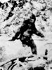 bigfootx-large.jpg