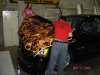 DSC01238.JPG