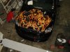 DSC01244.JPG