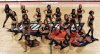bobcats_all.jpg
