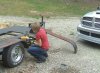 Truck pics Chessie Show 007.jpg