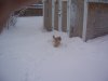 100_0657.JPG