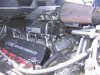 IMG_2377.JPG