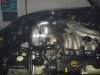 DSC01115.JPG