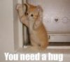 need hug.jpg