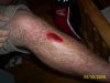 the ride 066.JPG
