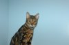 DSC_0387.JPG
