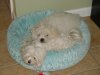 DSC05402.JPG