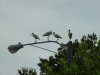 DSC05419.JPG