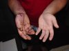 hand.jpg