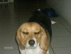 peanut 007.JPG