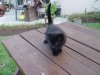 DSC05756.JPG