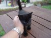 DSC05757.JPG