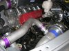 DSCN0781.JPG