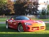postable Viper.JPG