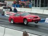 masondixon3-2-08012.jpg