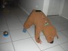 DSCN4186.JPG
