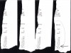 11_16_08 timeslips.jpg 11_16_08 timeslips.jpg